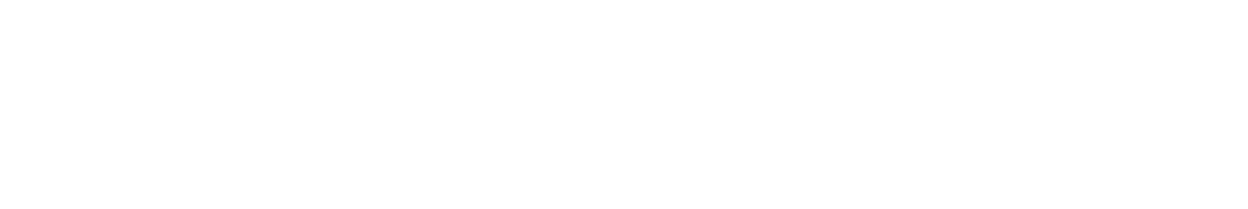 Shopify Partner